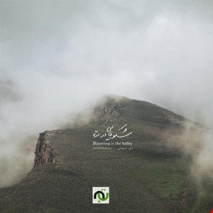 دانلود آلبوم شکوفایی در دره